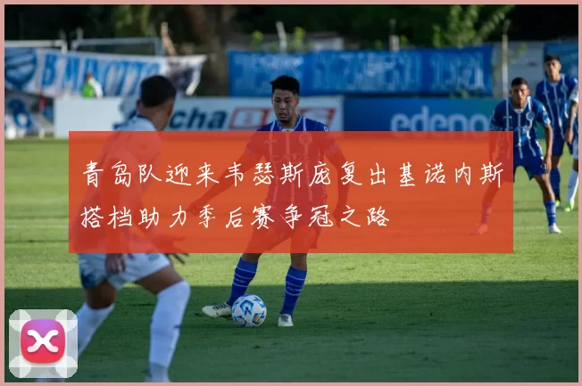 青岛队迎来韦瑟斯庞复出基诺内斯搭档助力季后赛争冠之路