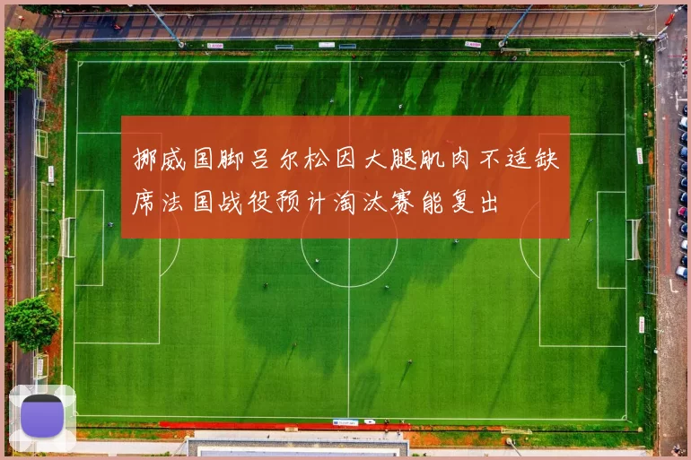挪威国脚吕尔松因大腿肌肉不适缺席法国战役预计淘汰赛能复出